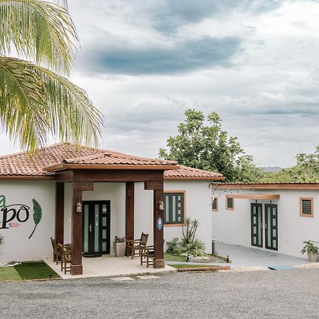 Casa Campo Bed & Breakfast San Sebastian Ngoại thất bức ảnh